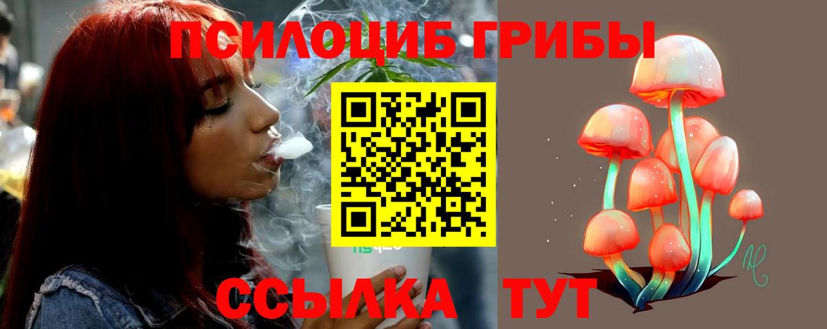 Псилоцибиновые грибы MAGIC MUSHROOMS  Галлюциногенные грибы Psilocybine cubensis  Вход с VPN  Добрянка 